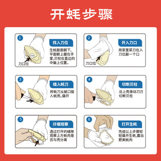 京鲜港 鲜活生蚝单只70g起 净重3斤 15-20只装