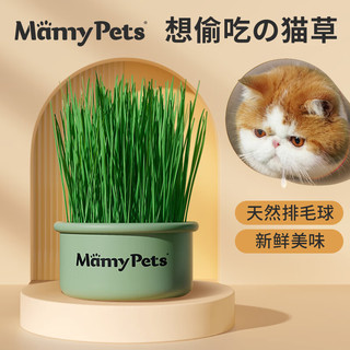 MamyPets 猫草土培盆栽懒人猫零食猫薄荷去毛球化毛草猫咪宠物用品 猫草种植套装丨MamyPets妈咪严选