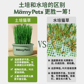 MamyPets 猫草土培盆栽懒人猫零食猫薄荷去毛球化毛草猫咪宠物用品 猫草种植套装丨MamyPets妈咪严选