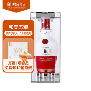 WULIANGYE 五粮液 1618 浓香型白酒 52度 500ml 单瓶装  1号会员店