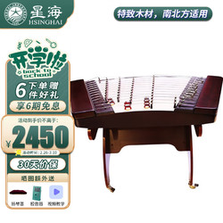 Xinghai 星海 扬琴 硬木材质 402扬琴专业演奏考级民族乐器 8671KY