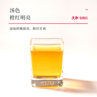 文新信阳红茶茶叶工夫红茶果香型经典罐装60g正红