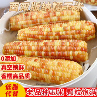 西双版纳傣家香糯小玉米5斤 约13-16根