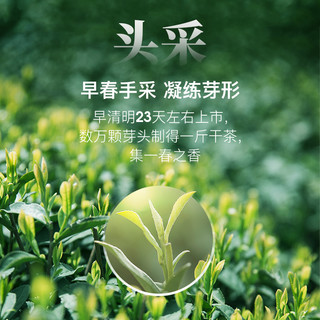 2024新茶-艺福堂茶叶春茶明前特级碧螺春50g苏州源产花香果韵