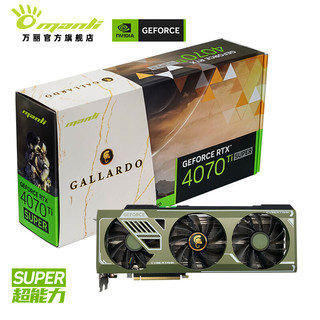 万丽 Manli ）GeForce RTX 4070 Ti SUPER