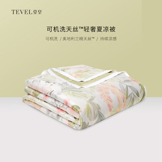 TEVEL 堂皇家纺 纤维被