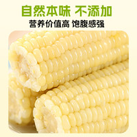 88VIP：农科玉 玉米黄金甜糯玉米8根装260g每根