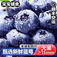 诱鲜地 新鲜蓝莓 甄选15mm+8盒大果 约125g/盒 脆甜高山新鲜水果