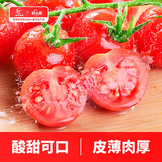 富美鹤城红串番茄串收水果自然成熟新鲜蔬菜小西红柿酸甜整串生吃车厘串 红串番茄198g*4盒 792g