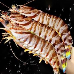 东上御品竹节虾鲜活速冻九节虾斑节虾新鲜大虾2斤