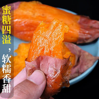 晓筱农场 山东糖心蜜薯25号红心烤红薯4.5-5斤 迷你小果 烟薯地瓜 新鲜蔬菜