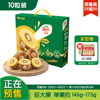 Zespri 佳沛 阳光金果 奇异果 超大果 单果146-174g 10个 礼盒装