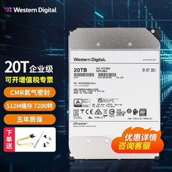 Western Digital 西部数据 WD） 企业级硬盘 NAS服务器机械硬盘 3.5英寸 CMR垂直 7200转 SATA接口 HC560 20T-WUH722020ALE6L4 Ultrastar