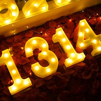 新新精艺 求婚表白布置led灯1314浪漫惊喜七夕情人节礼物装饰灯后备箱道具
