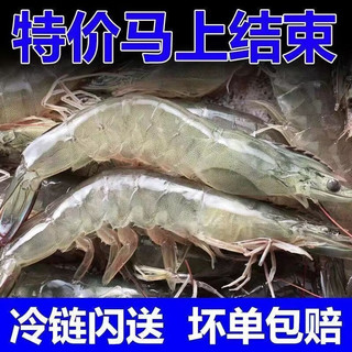正宗青岛大虾 4斤装 16-18cm+顺丰冷链（30-40规格）