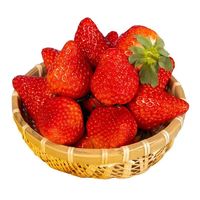 精品丹东99草莓 3斤礼盒装