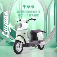 LUYUAN 绿源 ZOF 电动自行车  LY2000DT-9