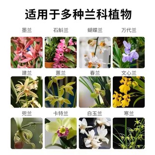 耕葩 兰灵王兰花专用营养液肥料em菌兰蝴蝶兰陵王促花君子兰墨兰鲜花