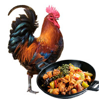 庆方堂 散养土公鸡1.5kg 放养238天 走地鸡 大公鸡鸡肉生鲜
