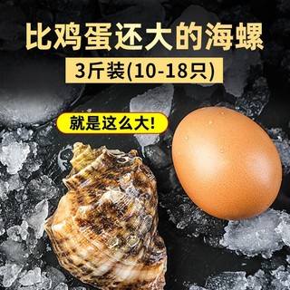 海宏盈【活鲜】 青岛大海螺鲜活 1500g 海鲜贝类生鲜 大规格共13-18只 1500g