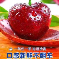 雪束 大连美早大樱桃新鲜水果 中果3斤（单果6-8g）