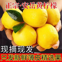 四叔公果蔬 四川安岳黄柠檬现摘现发 黄柠檬（中果80-120克）9斤-120克）9斤