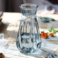 泰西丝 花瓶玻璃透明渐变彩色现代简约干花瓶子水养绿萝大号玻璃瓶子 南瓜烟灰大-18CM高