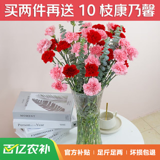 JIANSHI 简势 香水百合鲜花云南昆明直发家庭水养鲜切花基地直发每周一花 康乃馨10枝+5枝尤加利叶