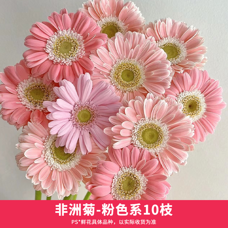 玫瑰花鲜花向日葵小菊花束云南直发风铃花兰百合康乃馨