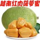 花音谷 活动特惠！！越南爆甜 红肉菠萝蜜  整果9-10斤