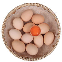 万力睿 农家生态正宗土鸡蛋 山林散养草鸡蛋 现捡现发 新鲜五谷物喂养柴 现捡大鸡蛋40枚（单枚40g左右