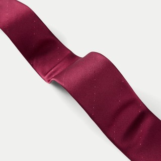 海澜之家 2024箭头型时尚婚庆男士领带