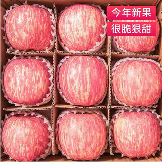 陕西洛川 特级红富士苹果 10斤  单果75-80mm