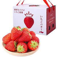 今日福利！500箱  丹东红颜99草莓 5斤礼盒装