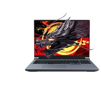 机械革命 蛟龙16Pro 16英寸游戏本（R7-7745HX、16GB、1TB、RTX4070）