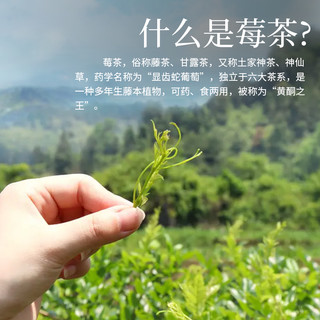 中广德盛 张家界莓茶 30g