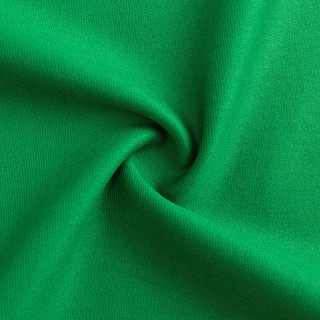 Karl Lagerfeld卡尔拉格斐轻奢老佛爷男装 24夏款logo经典印花短袖T恤 绿色 52