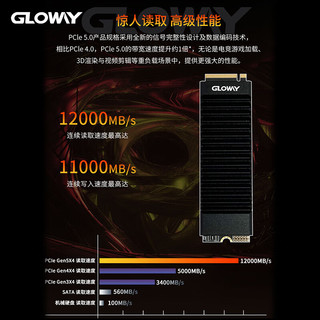 光威（Gloway）2TB SSD固态硬盘 M.2接口(NVMe协议) PCIe 5.0 独立缓存 神策PRO系列