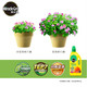  88VIP：Mracle.Gro 美乐棵 浓缩营养液通用型1.45L花肥家用盆栽养花肥复合肥花卉植物　