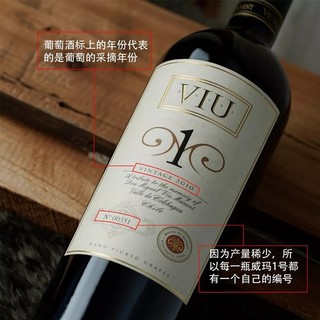 威玛智利十八罗汉之一 威玛一号空加瓜谷原瓶干红葡萄酒2020年份 单支装750mL（2020年）