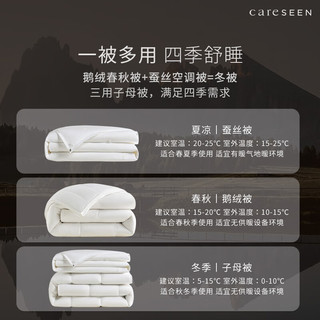 Careseen 康尔馨 蚕丝被