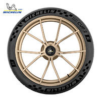 MICHELIN 米其林 轮胎305/35ZR20 (107Y)  PILOT SPORT CUP 2 R K2 包安装