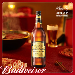 budweiser百威美式拉格黑金啤酒玻璃瓶600ml12瓶