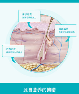 卫仕狗卵磷脂30g美毛粉卫士狗鱼油狗美毛狗狗软磷脂护肤用