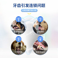 JOYPET 日本进口宠物猫咪狗狗牙刷牙膏套装除口臭刷牙结石可食用