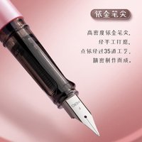 HERO 英雄 钢笔369热敏可擦炫彩印花铱金笔学生练字多色