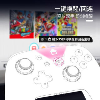 良值(IINE)适用Switch手柄 无线蓝唤醒牙Pro手柄 体感震动 PC电脑Steam 幻兽帕鲁喷射双人成行 NS配件 Pro手柄路飞五档+包套装-L946