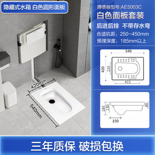 箭牌（ARROW）隐藏式水箱嵌入式蹲便器隐形蹲坑便池暗装入墙式冲水箱 AE5003C（不带存水弯后进后出）+黑色面板水箱