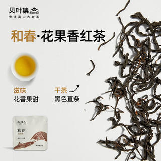 贝叶集红茶 品鉴装云南凤庆滇红一级2.5g*8袋 明前盒装茶叶