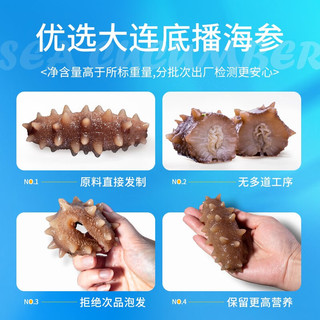 獐子岛（ZONECO SEAFOOD）袋装冷冻 大连即食海参 海鲜水产 参冬冬组合辽刺参 冬季储存原料 【两袋装】1000g/24-32头两斤装